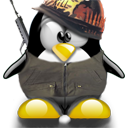 Penguin pingouin pinguino 238